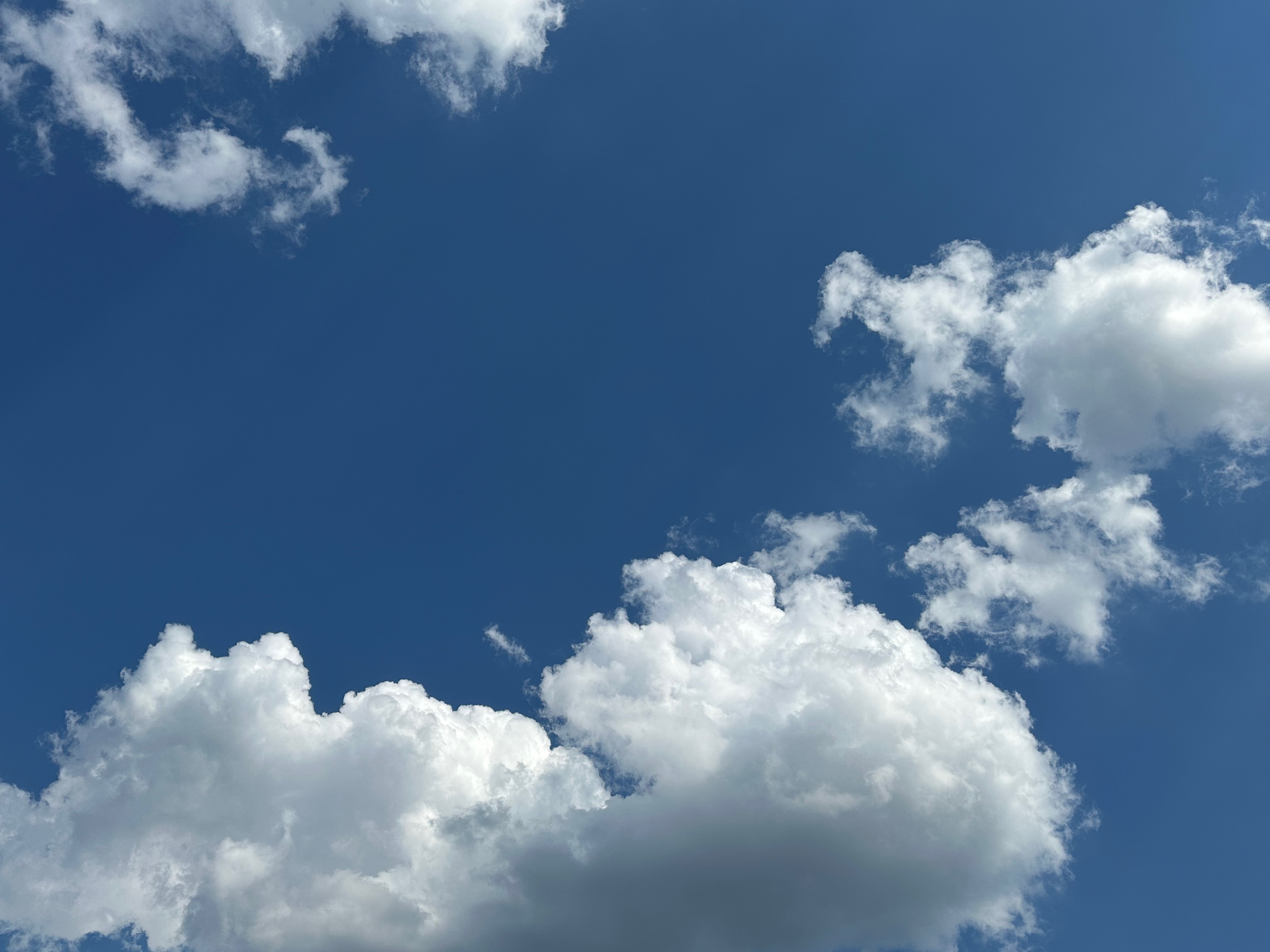 THE SCHOOL OF POETIC LIVING